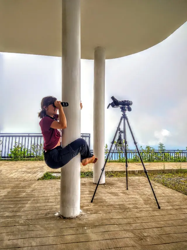 Behind-the-scenes photo from the 2022 Batumi Raptor Count autumn season