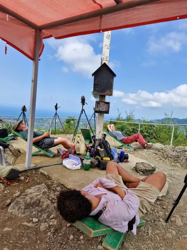 Behind-the-scenes photo from the 2024 Batumi Raptor Count autumn season