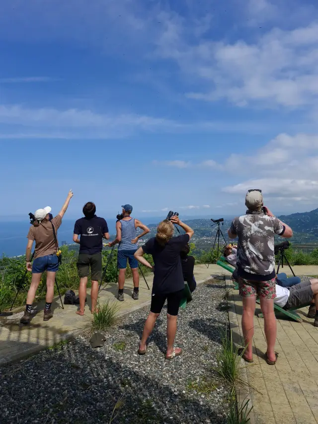 Behind-the-scenes photo from the 2024 Batumi Raptor Count autumn season