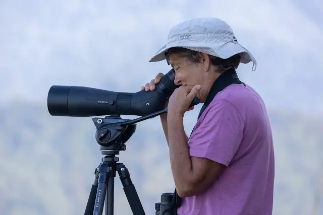Behind-the-scenes photo from the 2024 Batumi Raptor Count autumn season