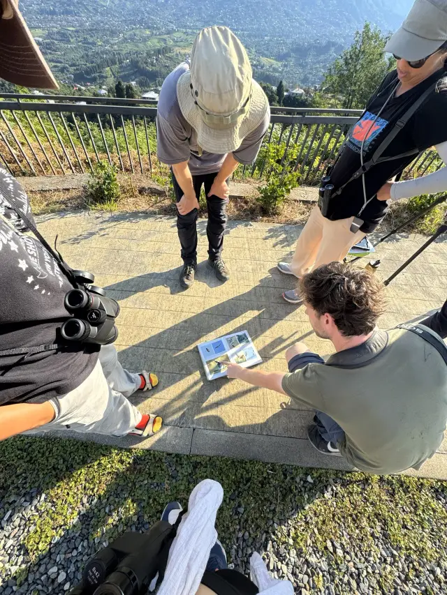 Behind-the-scenes photo from the 2025 Batumi Raptor Count autumn season