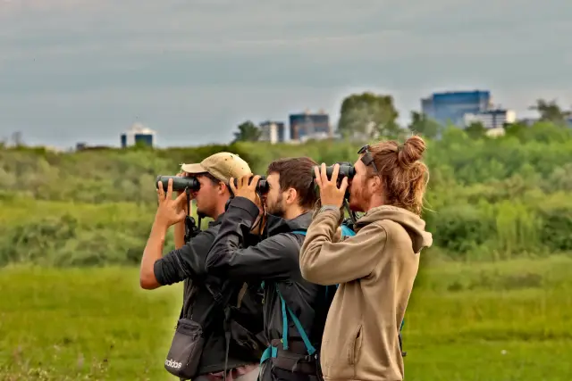 Behind-the-scenes photo from the 2025 Batumi Raptor Count autumn season
