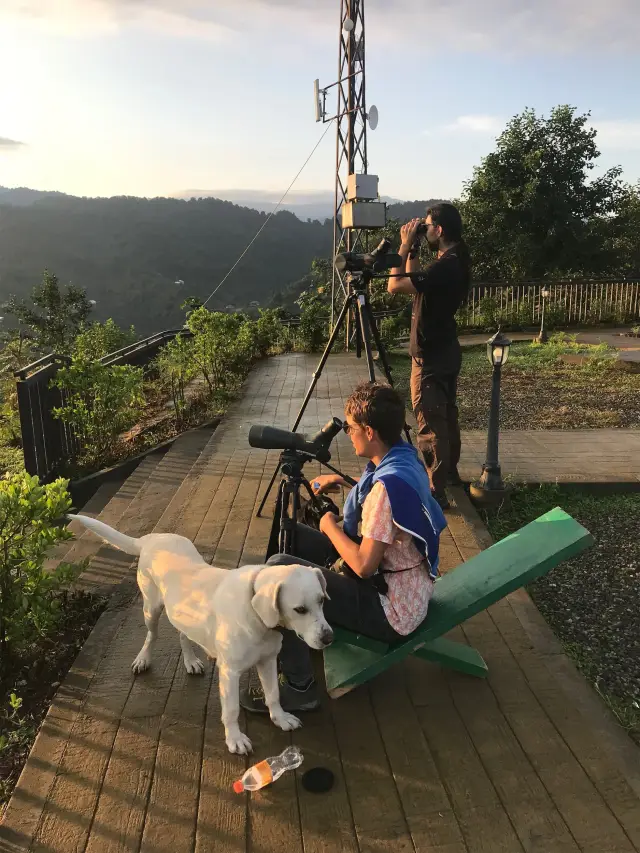 Behind-the-scenes photo from the 2021 Batumi Raptor Count autumn season