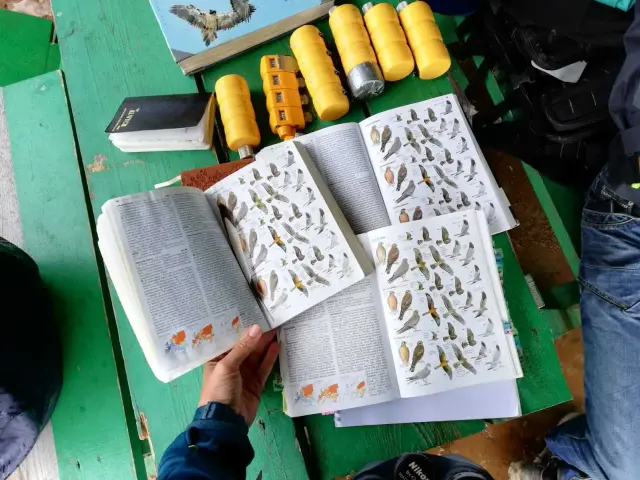 Behind-the-scenes photo from the 2018 Batumi Raptor Count autumn season
