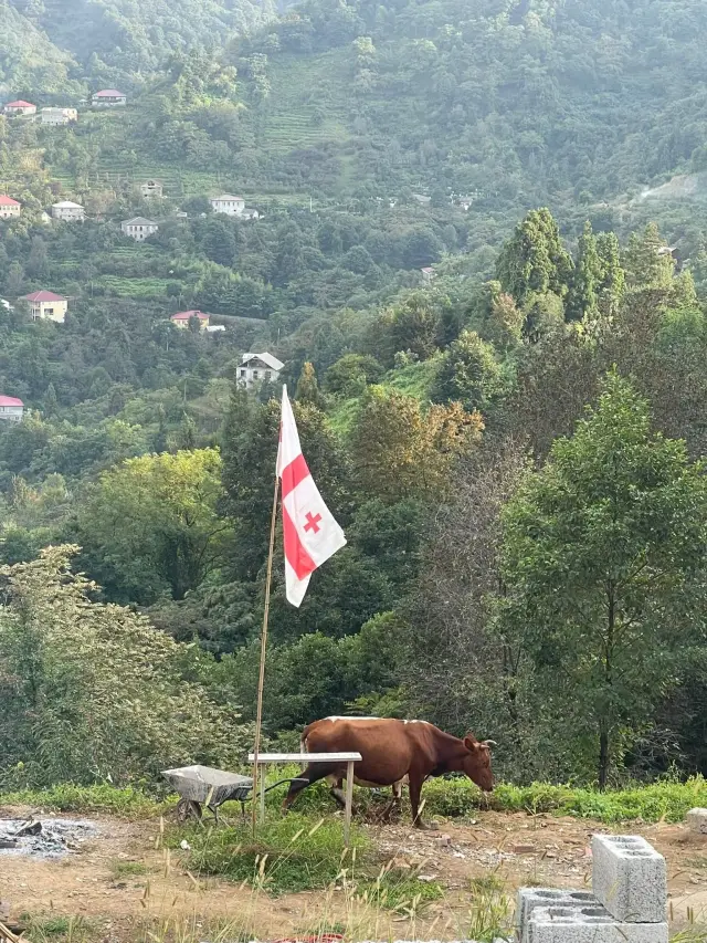 Behind-the-scenes photo from the 2023 Batumi Raptor Count autumn season