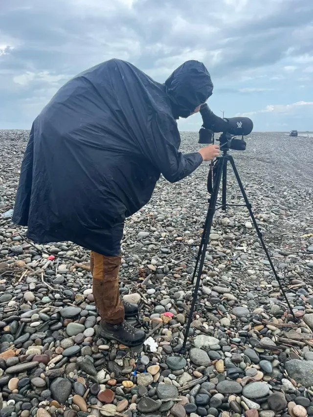 Behind-the-scenes photo from the 2023 Batumi Raptor Count autumn season