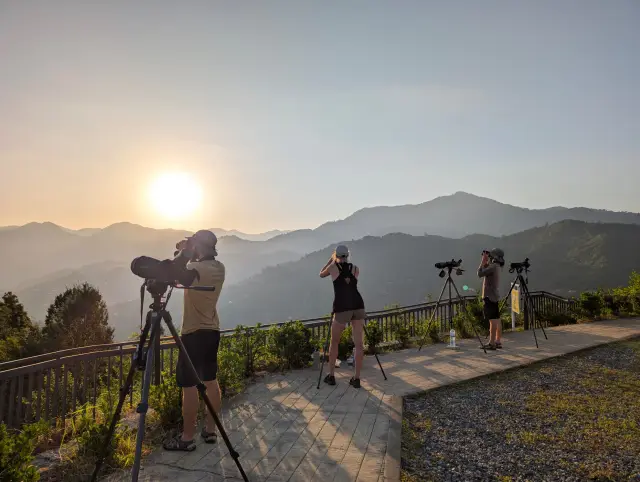 Behind-the-scenes photo from the 2025 Batumi Raptor Count autumn season
