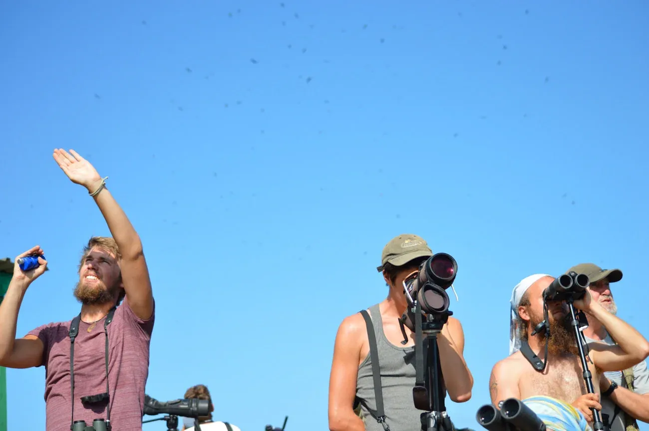 Clicking these clickers, scanning the sky through the binoculars and identifying species by scope. All. Day. Long