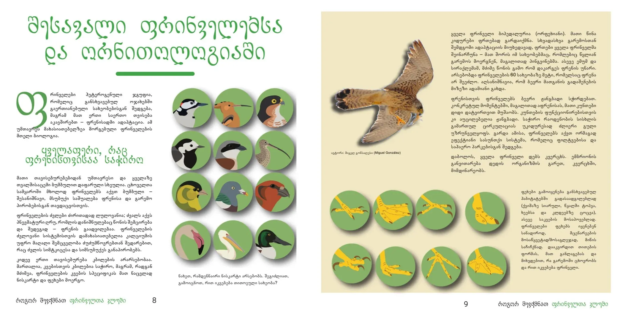 Screenshots from the PDF version of the book before printing.