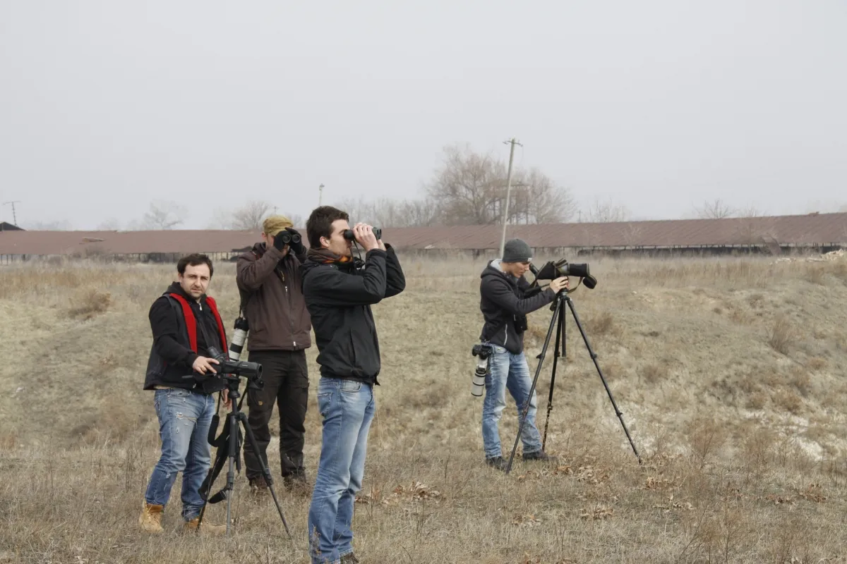 Team Don in action