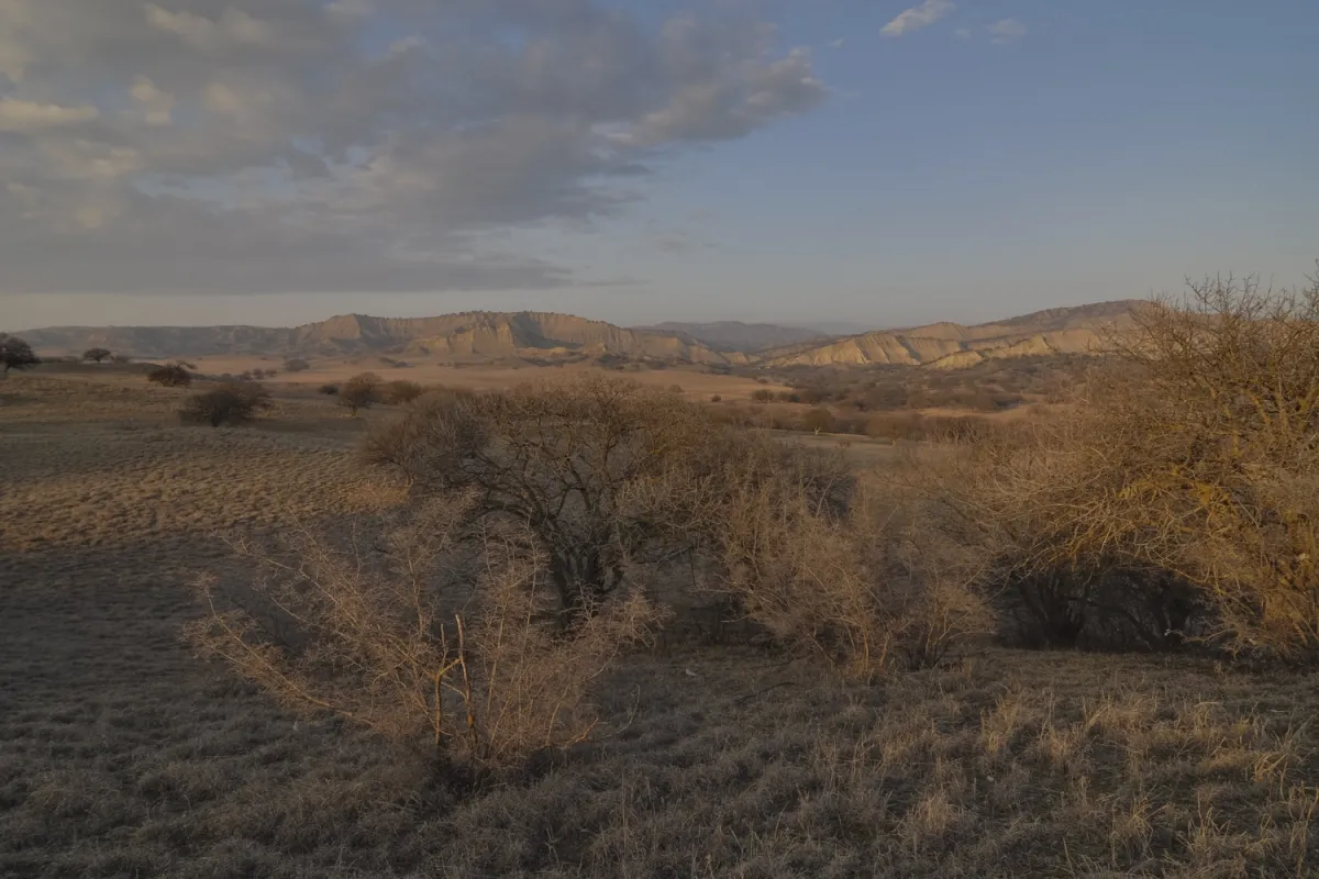 Stunning landscapes in Vashlovani NP