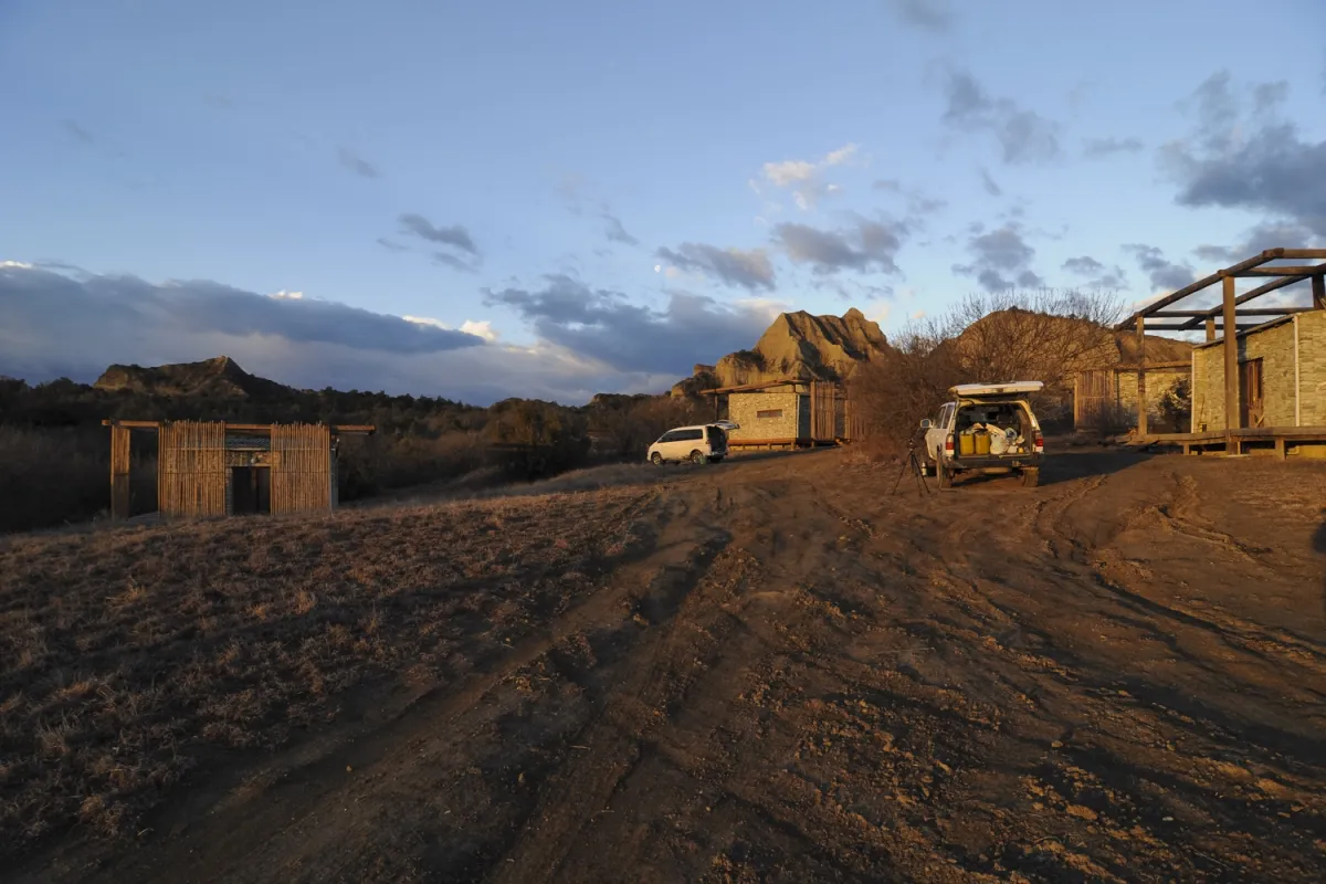 Our night roost