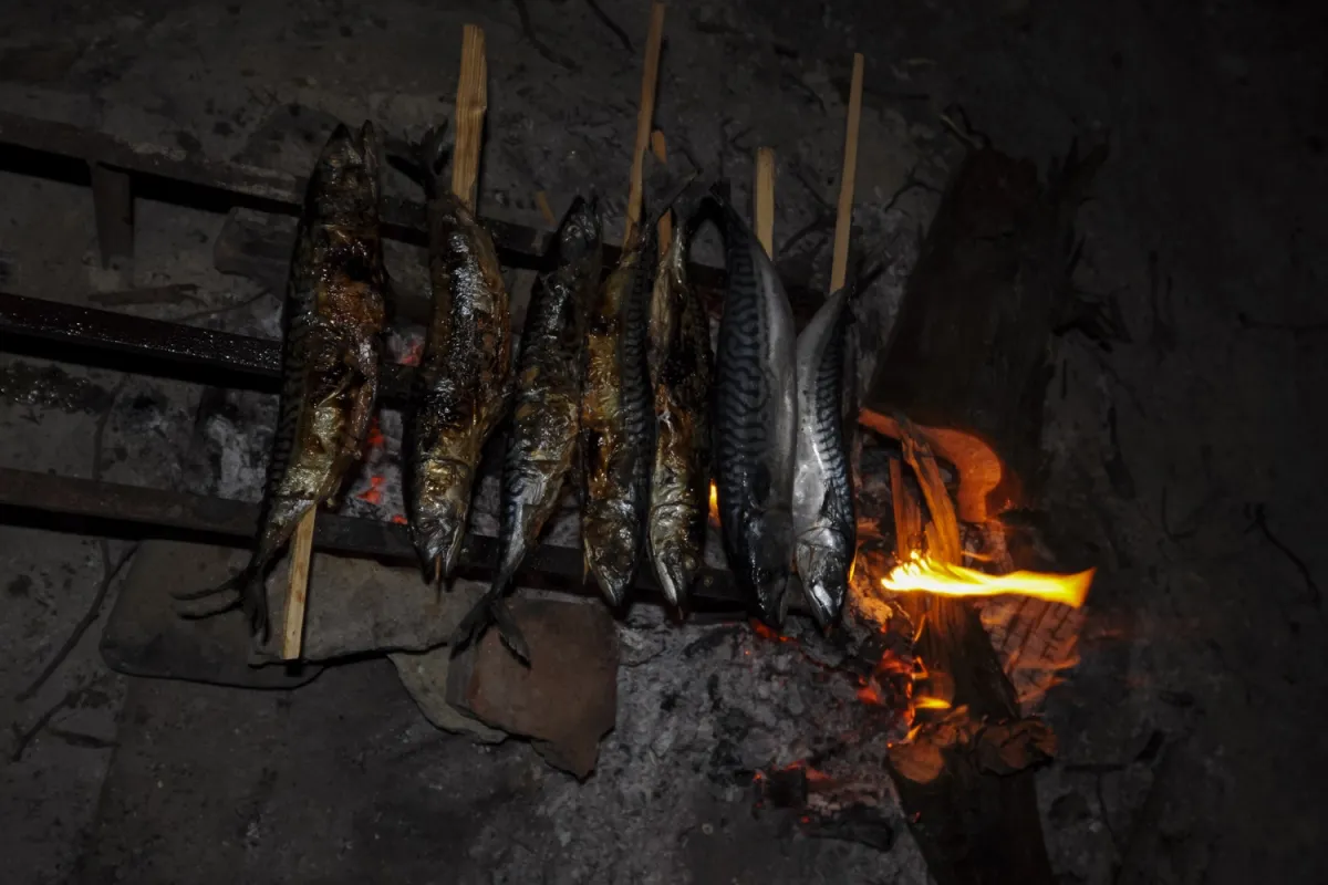 Alex prepared a nice fish for us