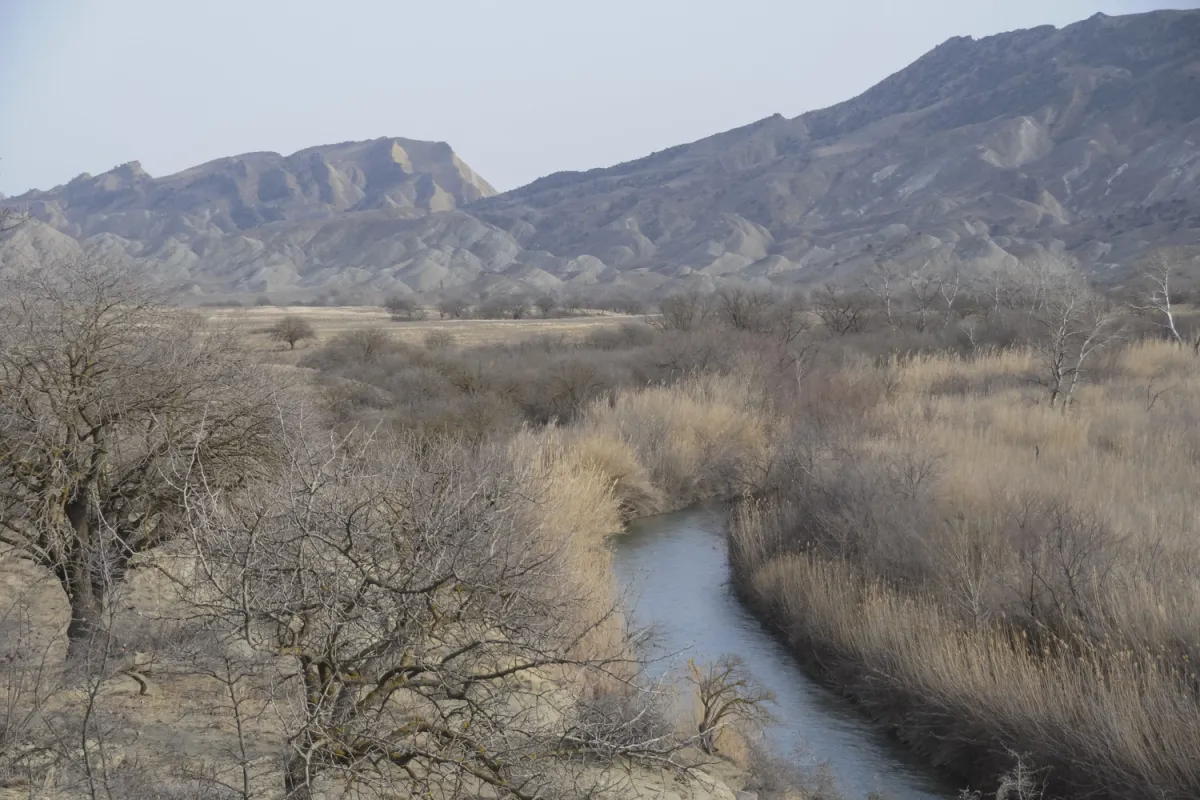 The Iori river