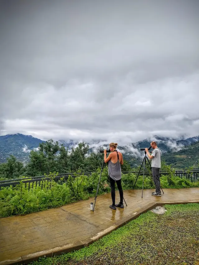 Behind-the-scenes photo from the 2022 Batumi Raptor Count autumn season