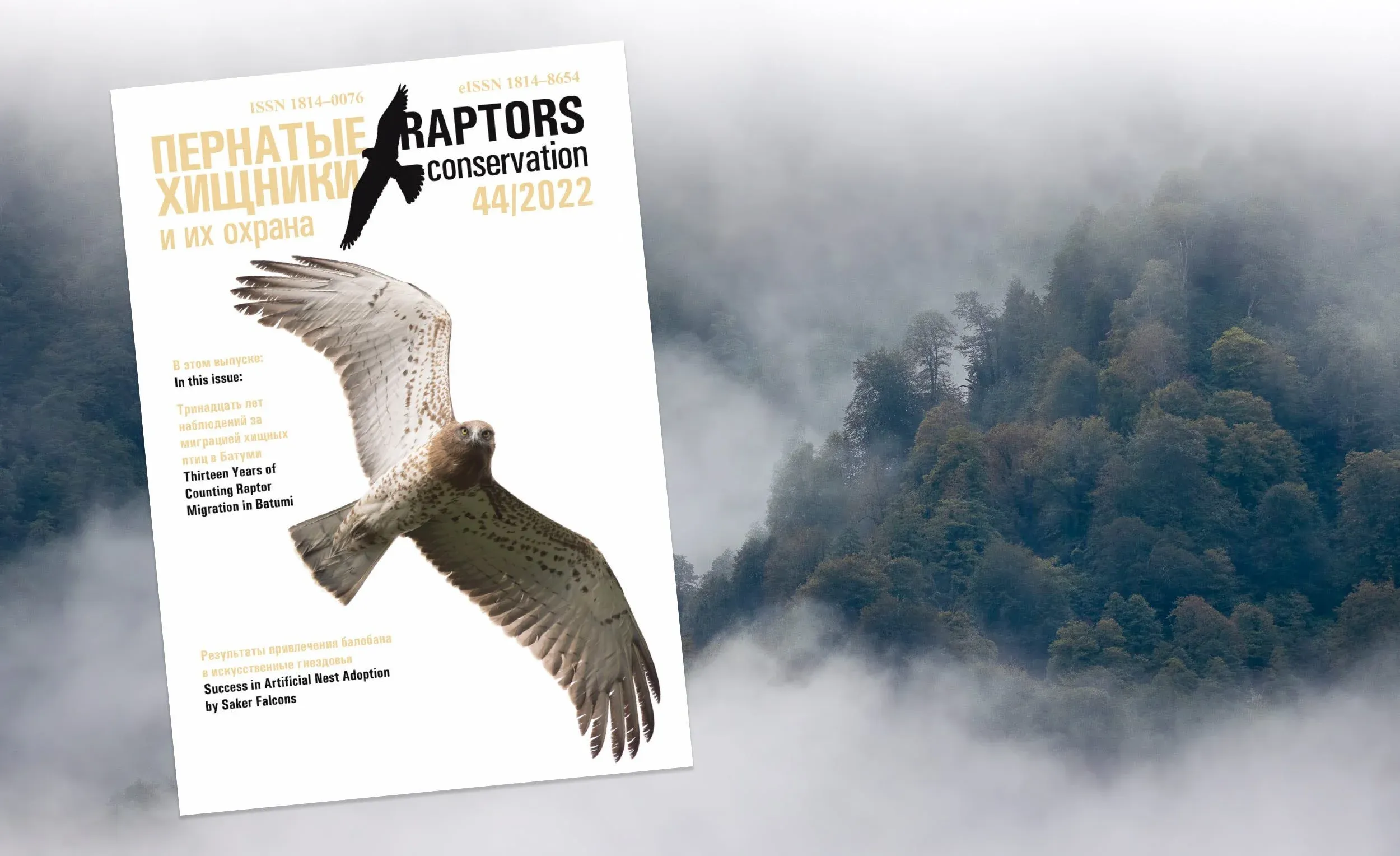 The first BRC publication in Russian Raptors Conservation journal with on the frontpage a stunning juvenile Short-toed Eagle giving onlookers in the Batumi bottleneck a close look.